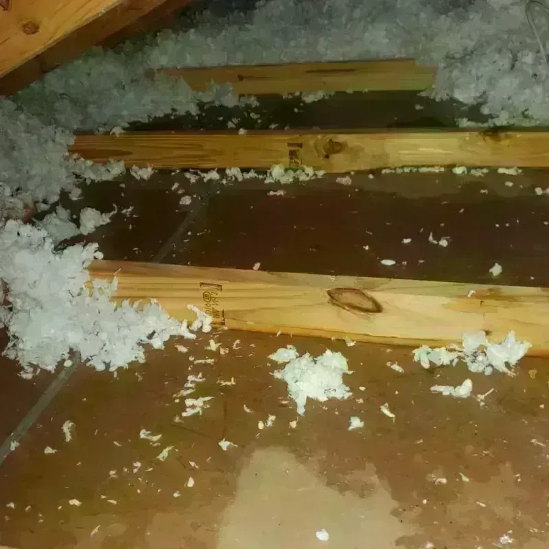 Attic Water Damage in Derby, CT